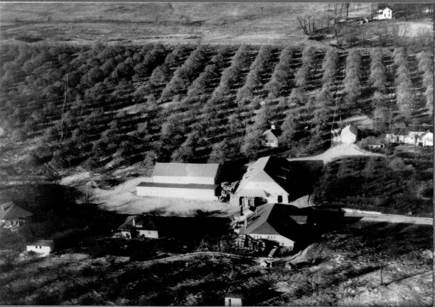 Aerial Photograph of the Brown Fruit Farm