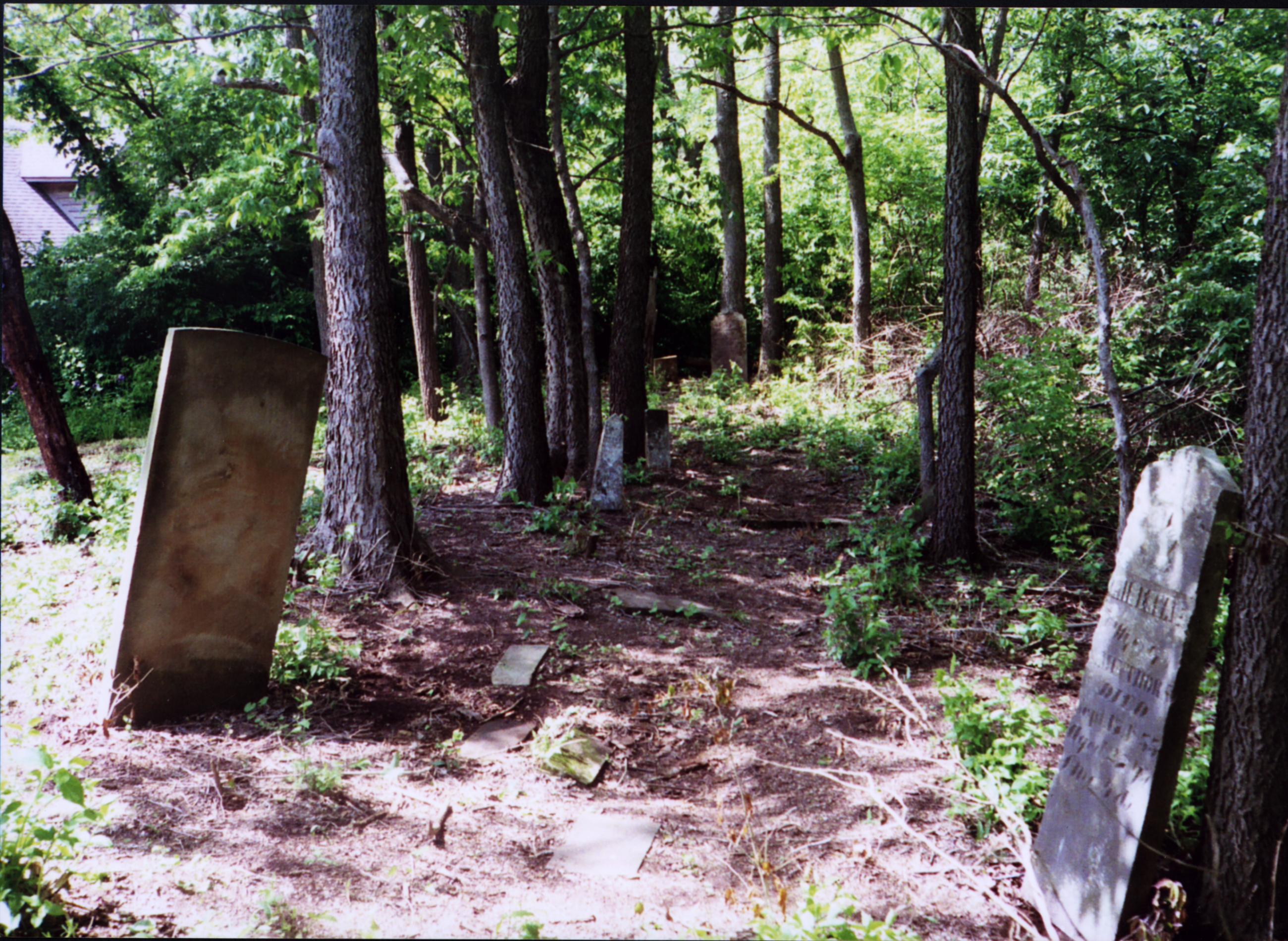 Goodrich Cemetery Gravestones
