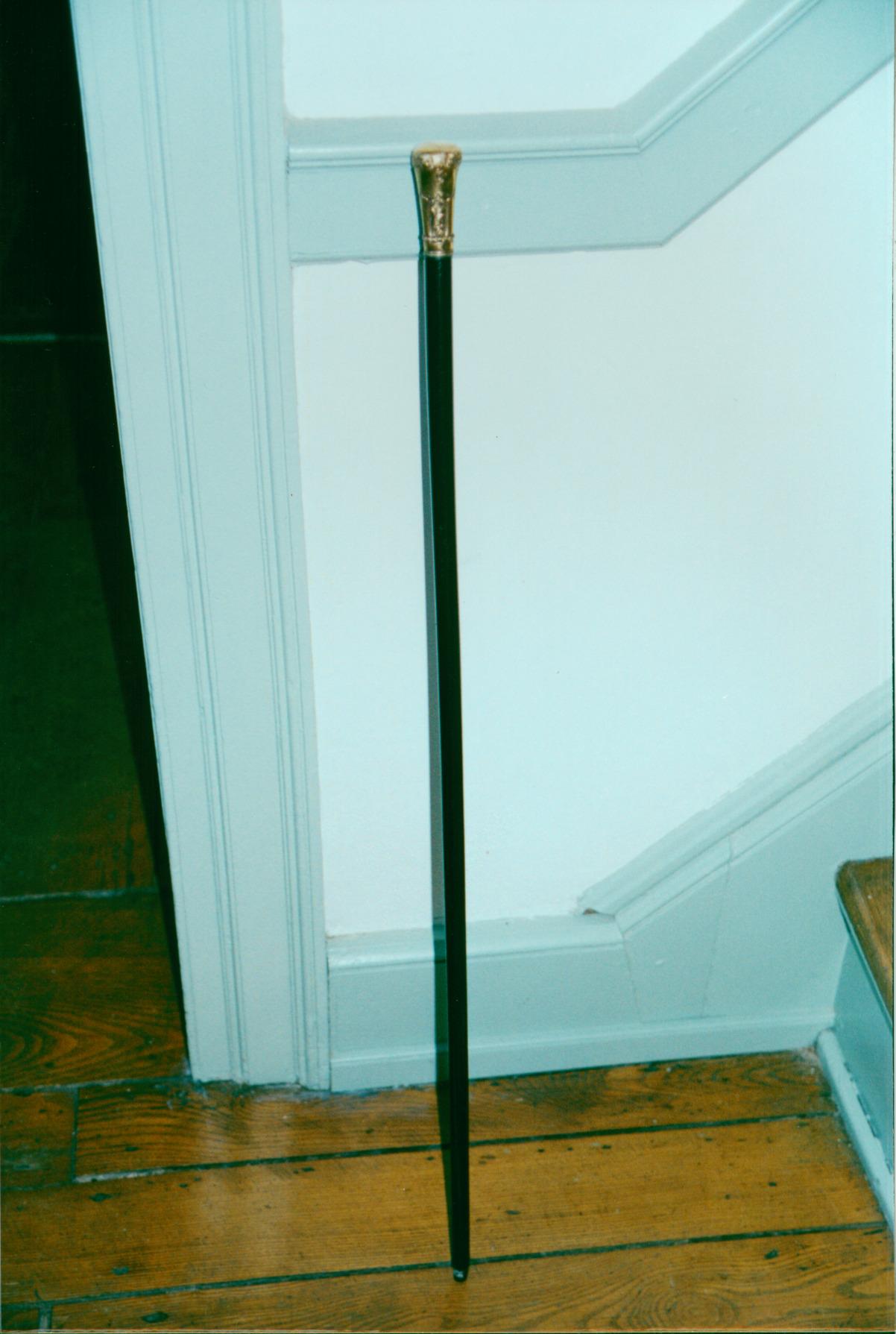 Orange Johnson's Walking Stick
