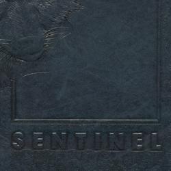 The Sentinel 1994