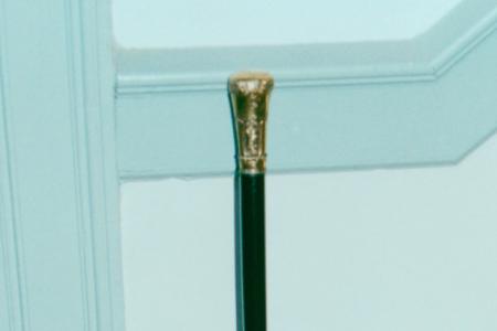 Orange Johnson's Walking Stick